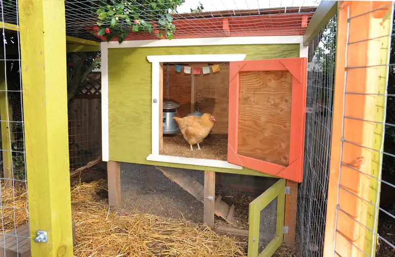 Seattle Chicken Coop with Enclosed Wire Run