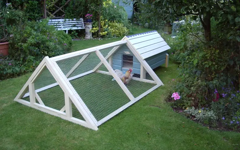 Heavy-Duty Predator-Proof Chicken Coop with Enclosed Wire Run and Hardware Cloth Fortification