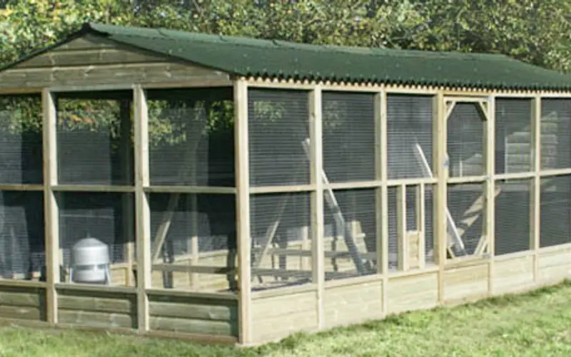 Large Enclosed Chicken Run with Predator-Resistant Wire Mesh and Timber Framing