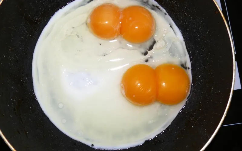 Cracked Fresh Chicken Eggs Exhibiting Asynchronous Double Ovulation Twin Yolks